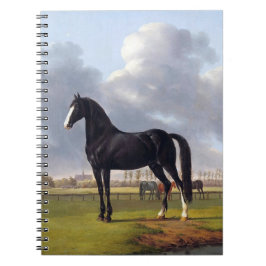 Black Tävling Horse circa 1828 Anteckningsbok