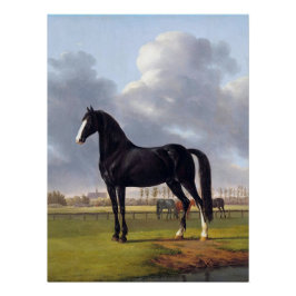 Black Tävling Horse circa 1828 Perfect Poster