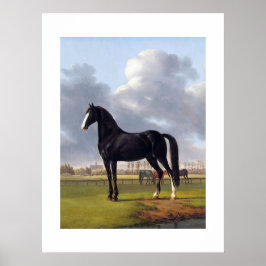 Black Tävling Horse circa 1828 Poster