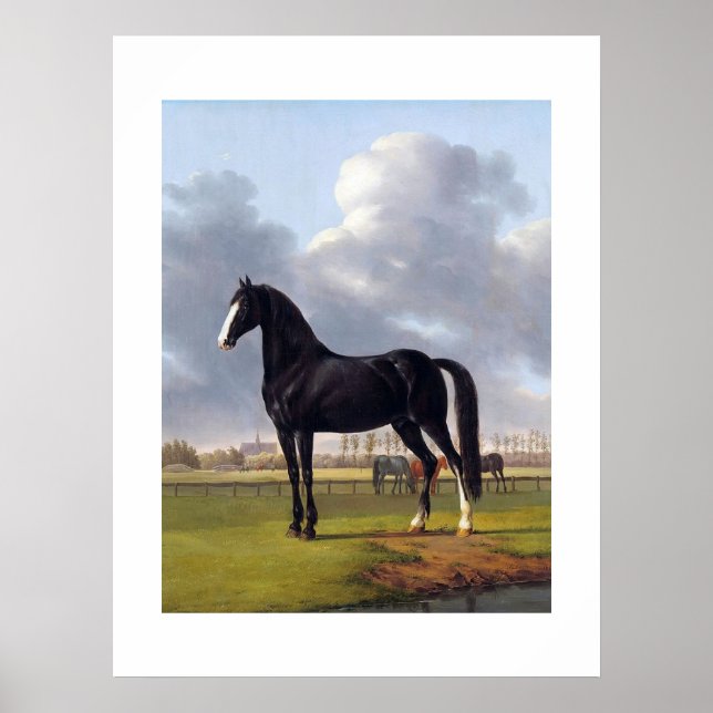 Black Tävling Horse circa 1828 Poster (Framsidan)