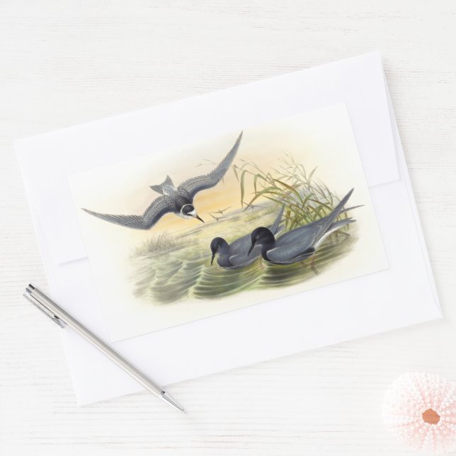 Black Tern Rektangulärt Klistermärke (Kuvert)