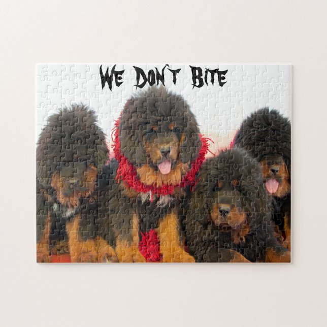 Black Tibetan Mastiff hund Jigszle Puzzle Pussel (Horisontell)