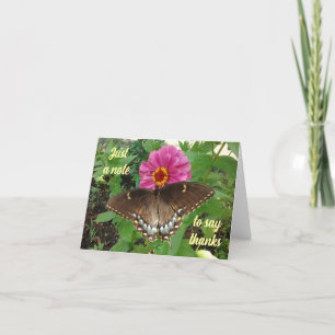 Black Tiger Swallowtail på Zinnia - tackkort