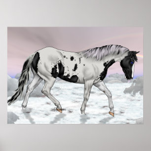 Black Tovero Paint Horse i Snö Poster