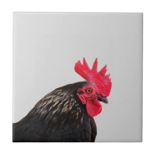 Black Tupp Kakelplatta