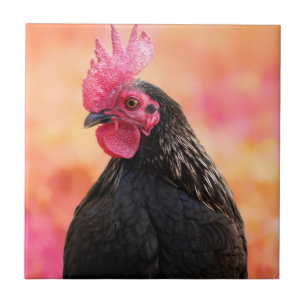 Black Tupp Kakelplatta
