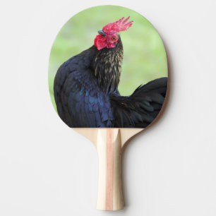 Black Tupp Pingisracket