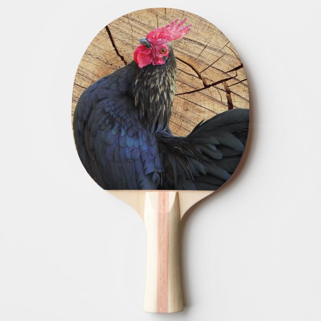 Black Tupp Pingisracket (Framsidan)