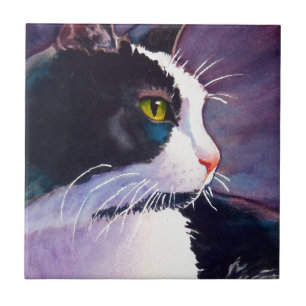 Black Tuxedo Cat in Stormy Mood Kakelplatta