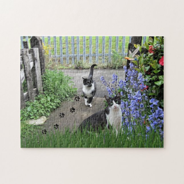 Black Tuxedo Cats in Garden Jigszle Puzzle Pussel (Horisontell)