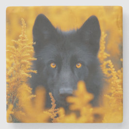 Black Varg Hund German Shepherd Stenunderlägg