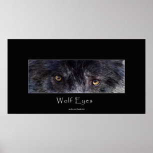 Black Varg Öga Wildlife Poster