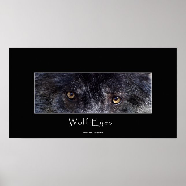 Black Varg Öga Wildlife Poster (Framsidan)