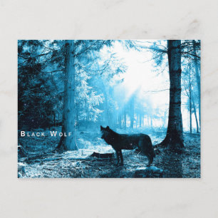 Black Varg Skogen Forest Night Fantasy Vykort