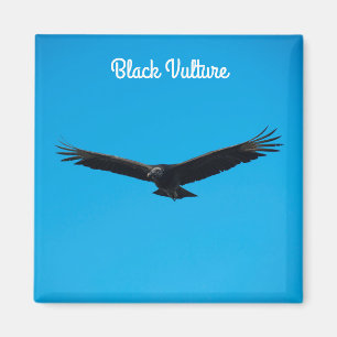 Black Vculture Magnet