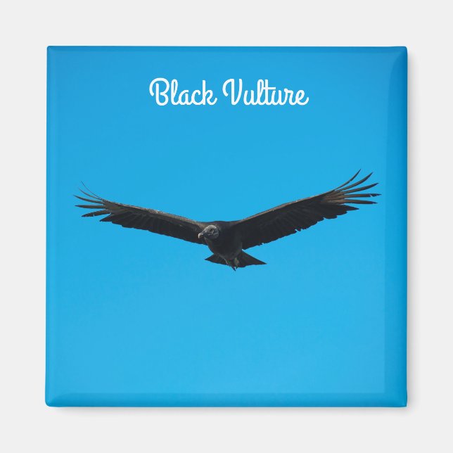 Black Vculture Magnet (Framsidan)