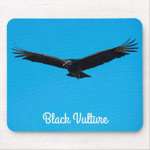 Black Vculture Musmatta