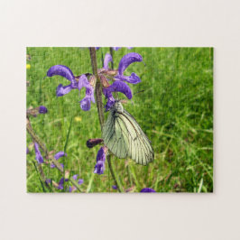 Black Veed White Butterfly Photo Puzzle Pussel