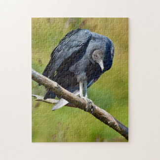 Black Vulture Wildlife Jigsaw Puzzle Pussel