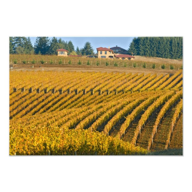 Black Walnut Inn, tittar över Fototryck (Framsidan)