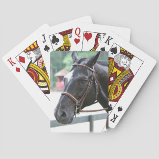 Black Warmblods Deck of Cards  Spel Kort