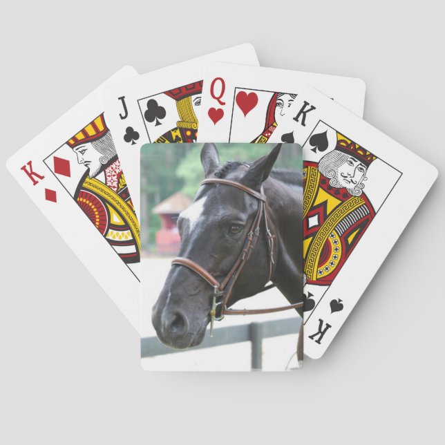Black Warmblods Deck of Cards  Spel Kort (Baksidan)