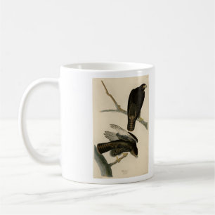 Black Warrior (rödskalig Hawk) från Audubon Birds Kaffemugg