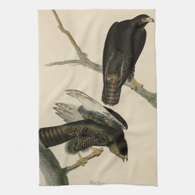 Black Warrior (rödskalig Hawk) från Audubon Birds Kökshandduk (Vertikal)