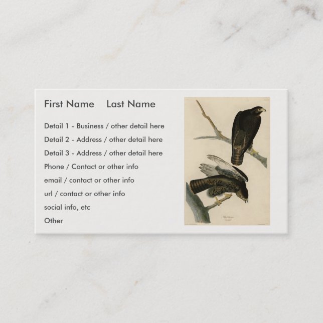Black Warrior (rödskalig Hawk) från Audubon Birds Visitkort (Framsida)