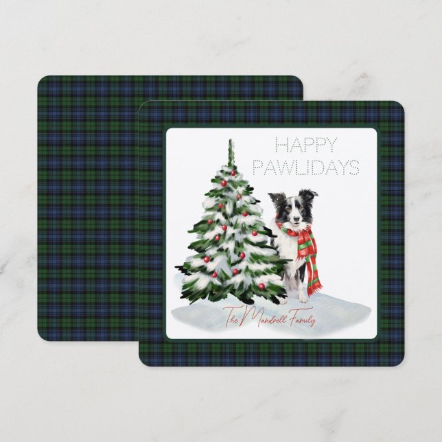 Black Watch Ancient Tartan Lycklig Pawlidays Hund (Fram/baksida)