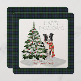 Black Watch Ancient Tartan Lycklig Pawlidays Hund