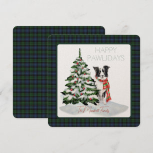 Black Watch Ancient Tartan Lycklig Pawlidays Hund