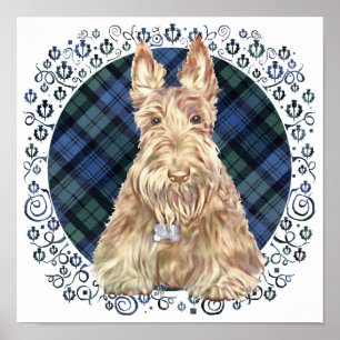 Black Watch-tartan Poster