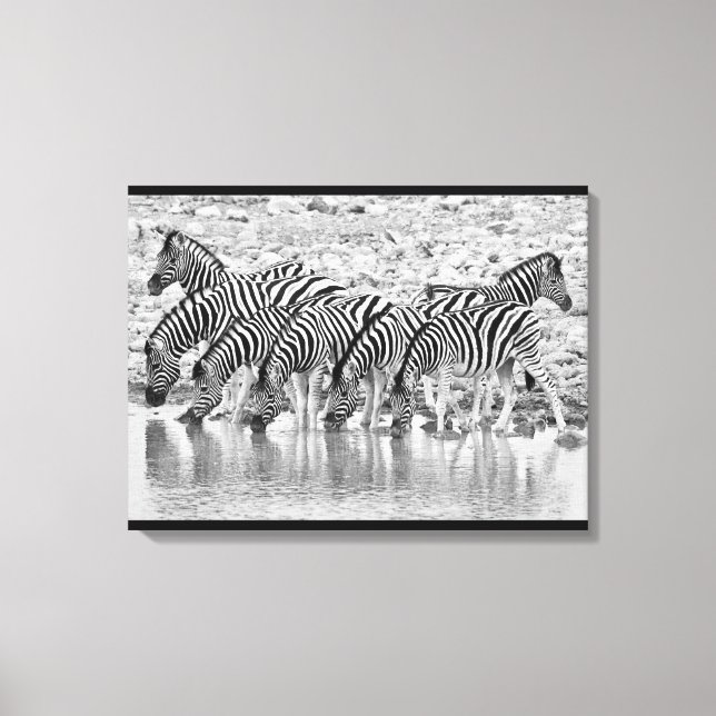 Black White African Zebra Grouping Wrapped Canvas (Framsida)