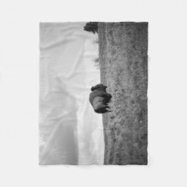 Black & White American Bison Stativ Small Fleecefilt