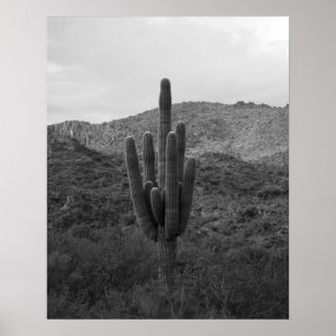 Black & White Big Saguaro Cactus i Arizona 16 x 20 Poster