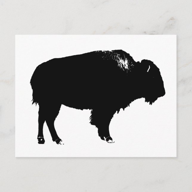 Black & White Bison Buffalo Silhouette-poppart Vykort (Framsida)