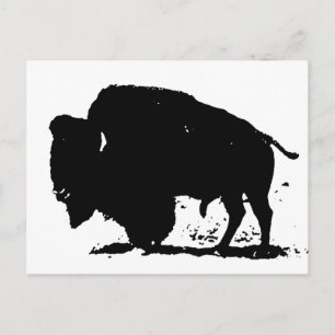 Black & White Buffalo Silhouette Vykort