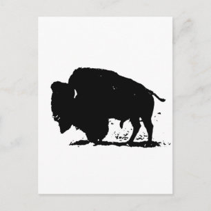 Black & White Buffalo Silhouette Vykort