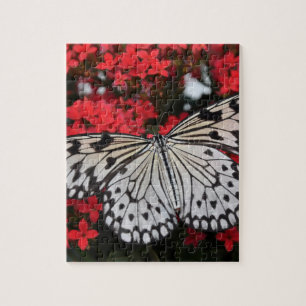 Black & White Butterfly på Red Flowers Pussel