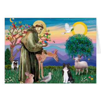 Black & White Cat - Saint Francis Hälsningskort