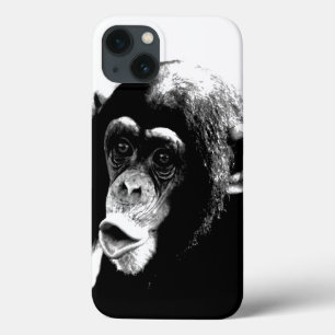 Black White Chimpanzee