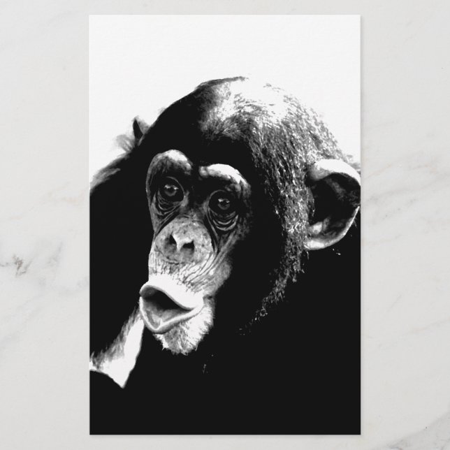 Black White Chimpanzee (Framsida)