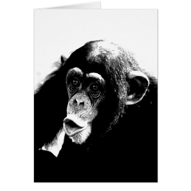 Black White Chimpanzee Hälsningskort (Framsidan)