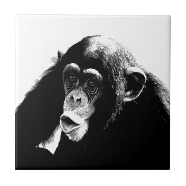 Black White Chimpanzee Kakelplatta (Framsidan)