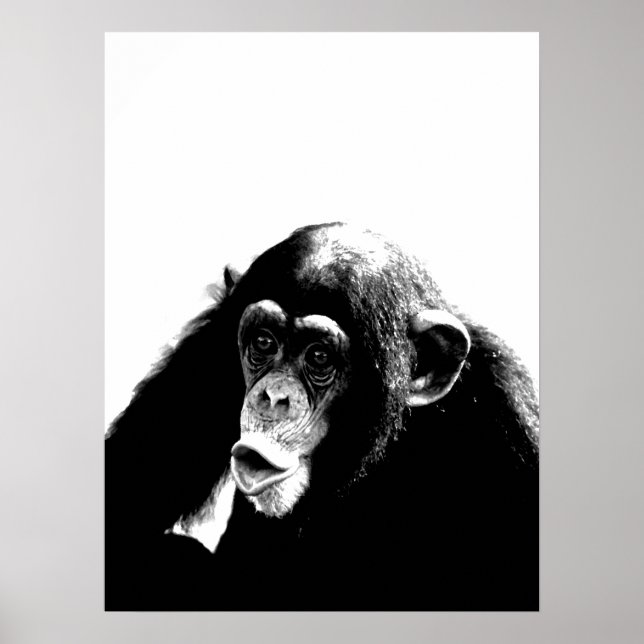 Black White Chimpanzee Poster (Framsidan)