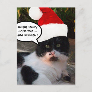 BLACK WHITE CHRISTMAS CAT MED JULTOMTEN HAT HELG VYKORT