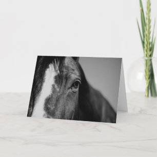 Black & White Close Horse Öga Artwork Kort