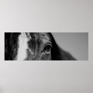 Black & White Close Horse Öga Poster