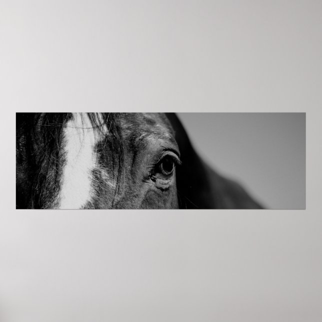 Black & White Close Horse Öga Poster (Framsidan)